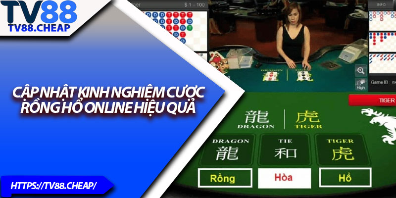 Rồng Hổ TV88 – Siêu Phẩm Cược Đỉnh Cao 2025 3 Cập nhật kinh nghiệm cược rồng hổ online hiệu quả